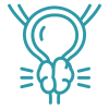 Prostate Center